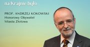 Kupcy, biedacy i złodzieje; czyli jak to z importami rzymskimi na Krajnie było