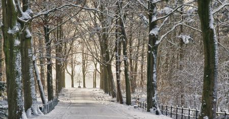 Przysłowia na temat grudnia. Sprawdź się i uzupełnij brakujące słowa