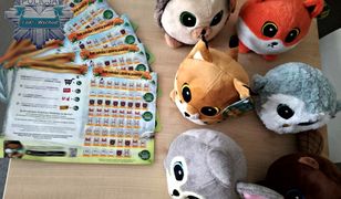 Łódź: Kradł naklejki na maskotki. Grozi mu pięć lat więzienia