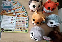 Łódź: Kradł naklejki na maskotki. Grozi mu pięć lat więzienia