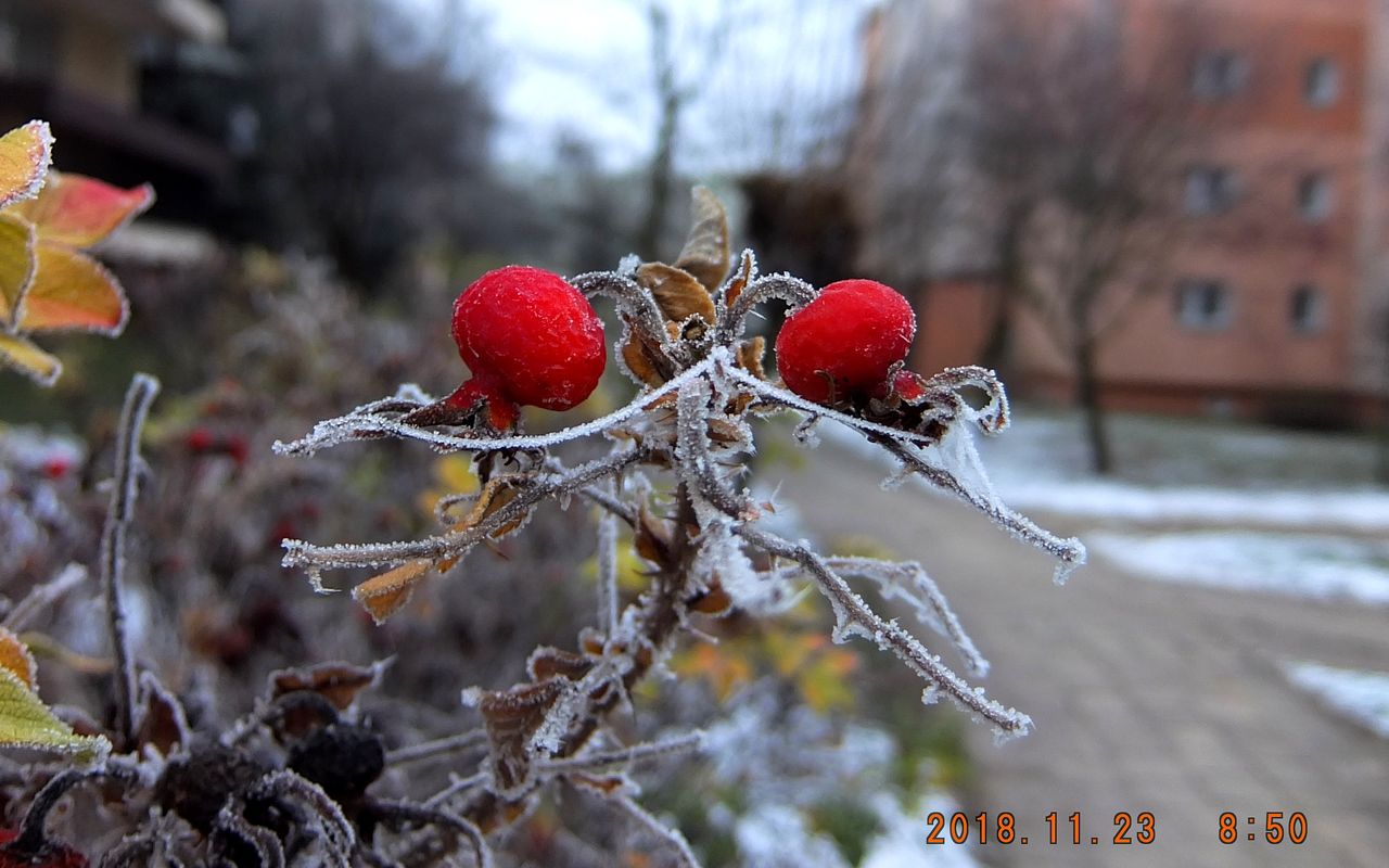 Zima walczy z jesienią. "Śnieg i szadź" - czekamy na Wasze zdjęcia