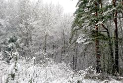 Strażacy mają pełne ręce roboty. Wszystkiemu winny atak zimy