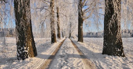 Wielki powrót zimy. Czekają nas opady śniegu