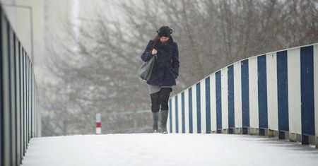 Prognoza pogody na dziś - 8 stycznia. IMGW wydaje trzy rodzaje alertów. Kolejnym problemem wiatr