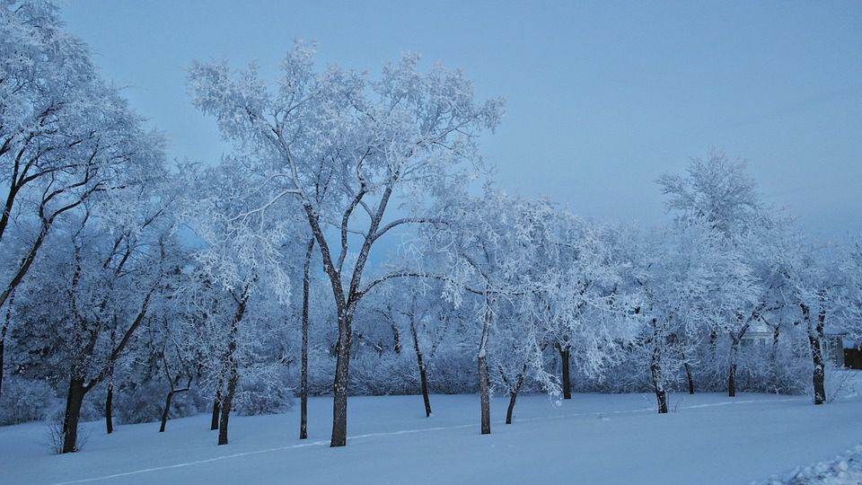 Na wiosnę jeszcze poczekamy. Spadnie śnieg