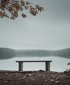Jezioro Rusałka: w Poznaniu wyłowiono zwłoki zaginionej 46-latki