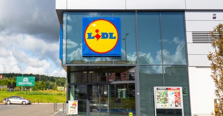 To może być hit. 10 pędzli do makijażu za ok. 30 zł w Lidlu