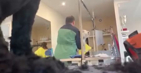 Psi fryzjer znęcał się nad zwierzętami. Jego zachowanie nagrano