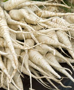 Pietruszka rekordowo droga. To przez zeszłoroczne deszcze