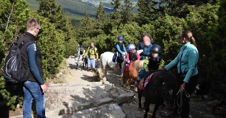 Turyści wybrali się na Śnieżkę. Wsadzili dzieci na kucyki