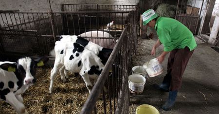 Mama 4+. Po matczyną emeryturę lepiej zgłosić się do KRUS