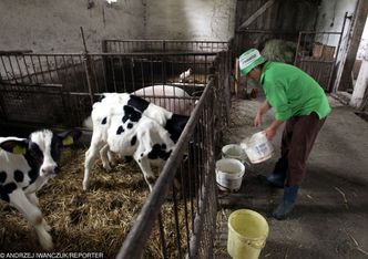 Mama 4+. Po matczyną emeryturę lepiej zgłosić się do KRUS