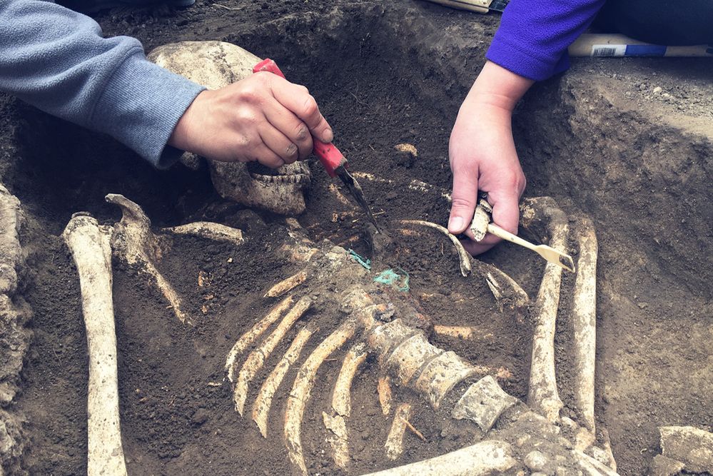 W "warmińskich Pompejach" znaleziono ludzkie szczątki. Pochodzą z 1354 roku