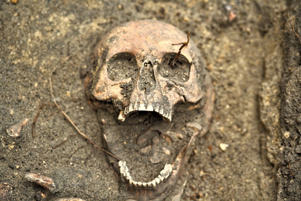 Studenci już nie muszą rozkopywać grobów