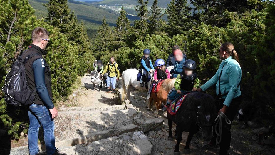 Turyści w trakcie wejścia na Śnieżkę