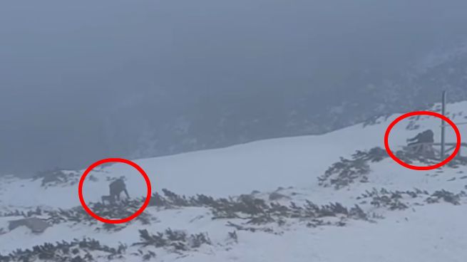 Karkonosze. Turyści zdobywali Śnieżkę mimo zakazu i trudnych warunków