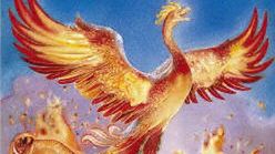 Piąty tom przygód Harryego Pottera