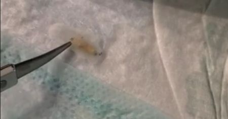 Ohyda z Lidla. Klientka oniemiała po odpakowaniu pieluszek