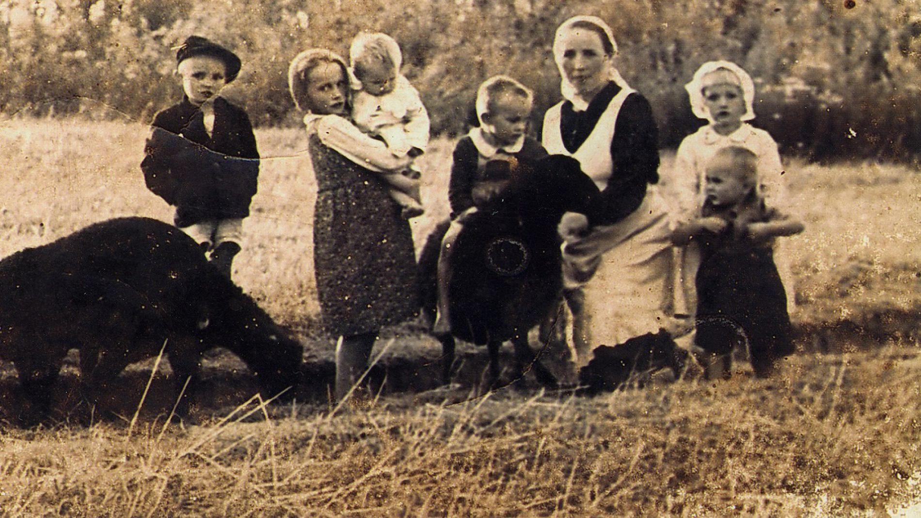 Rodzina Ulmów.