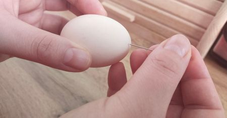 Tak bez trudu zrobisz prawdziwą wydmuszkę. Kluczowy jest jeden drobiażdżek