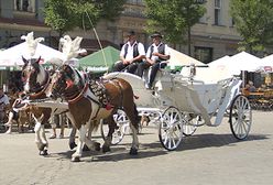Takiego absurdu świat nie widział!