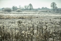 Pogoda. Będzie zimno, pojawią się przymrozki. Ale deszczu nadal mało