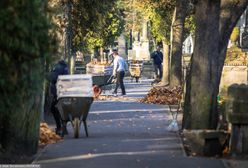 Wszystkich Świętych. Koniec dużej akcji na Starych Powązkach w Warszawie. Inwentaryzacja ułatwi odnowienie grobów