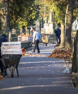 Wszystkich Świętych. Koniec dużej akcji na Starych Powązkach w Warszawie. Inwentaryzacja ułatwi odnowienie grobów