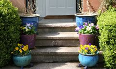 Skazany za dwa gwałty sprzed lat. Dowody znaleziono w doniczce.