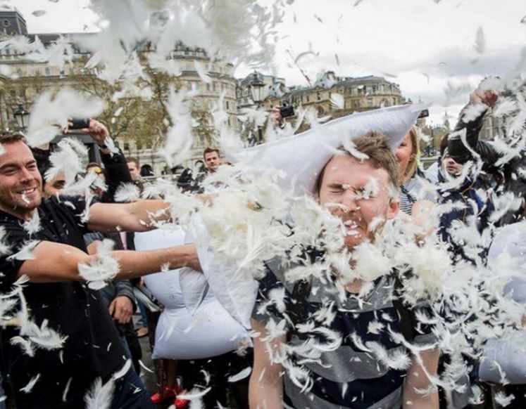 Dzień walki na poduszki. Tak się biją na świecie!