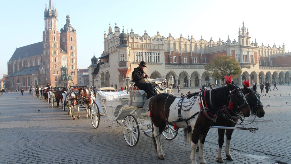Konie dorożkarskie w Krakowie stoją w pełnym słońcu