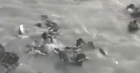 Kłusownicy bestialsko polują na ptaki. Tworzą sztuczne jeziora-pułapki