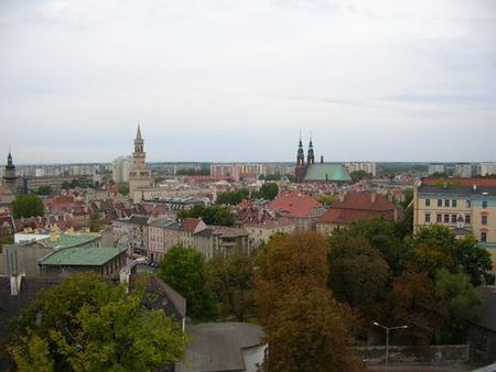 Obraz