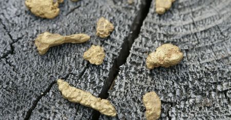 Złoża złota tuż przy granicy z Polską. Będą dalsze poszukiwania