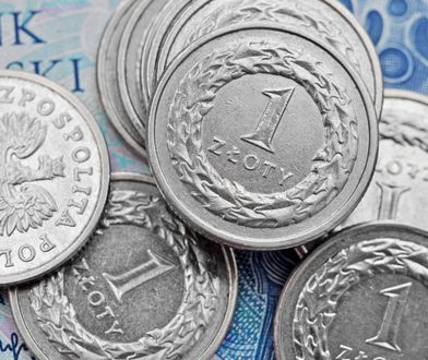 Bardzo udany rok dla złotego