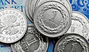 Czy polski złoty ma moc? Sprawdź ile wiesz o walutach