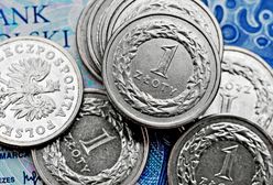 Co się będzie działo z polską walutą w 2018 r.? Czeka nas większa zmienność notowań
