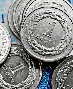 Co się będzie działo z polską walutą w 2018 r.? Czeka nas większa zmienność notowań