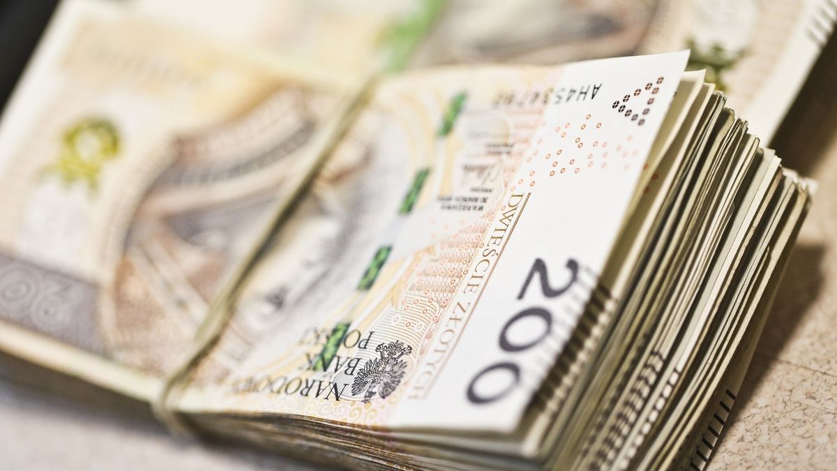 Brakuje spójnej, przemyślanej i konsekwentnej strategii ws. promocji polskiej kultury