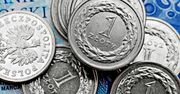 Co się będzie działo z polską walutą w 2018 r.? Czeka nas większa zmienność notowań