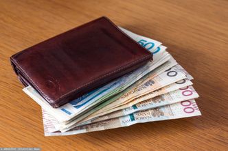 Kursy walut. RPP zdecyduje o stopach procentowych