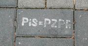 Namalowała graffiti na biurze PiS. Prokuratura wycofała się z zarzutu