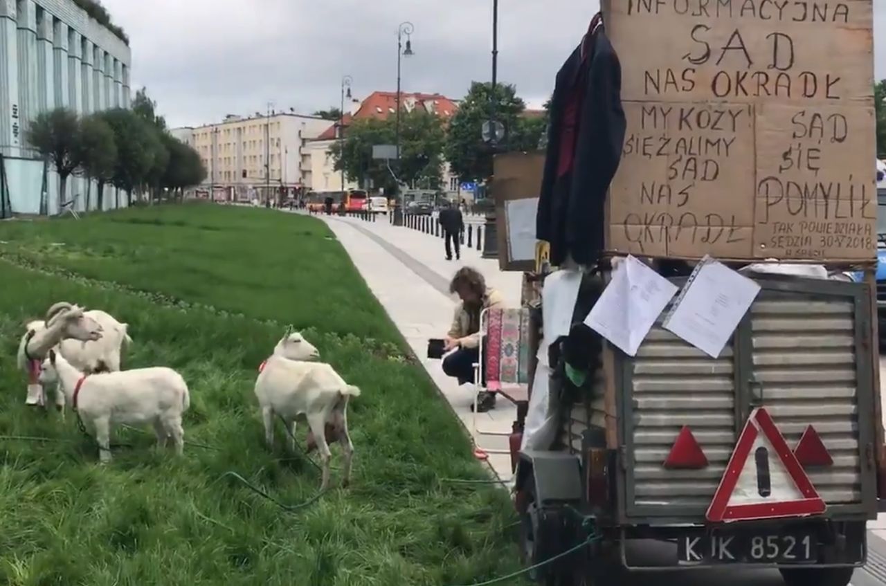 Kozy protestują przed Sądem Najwyższym. "Sąd nas okradł"