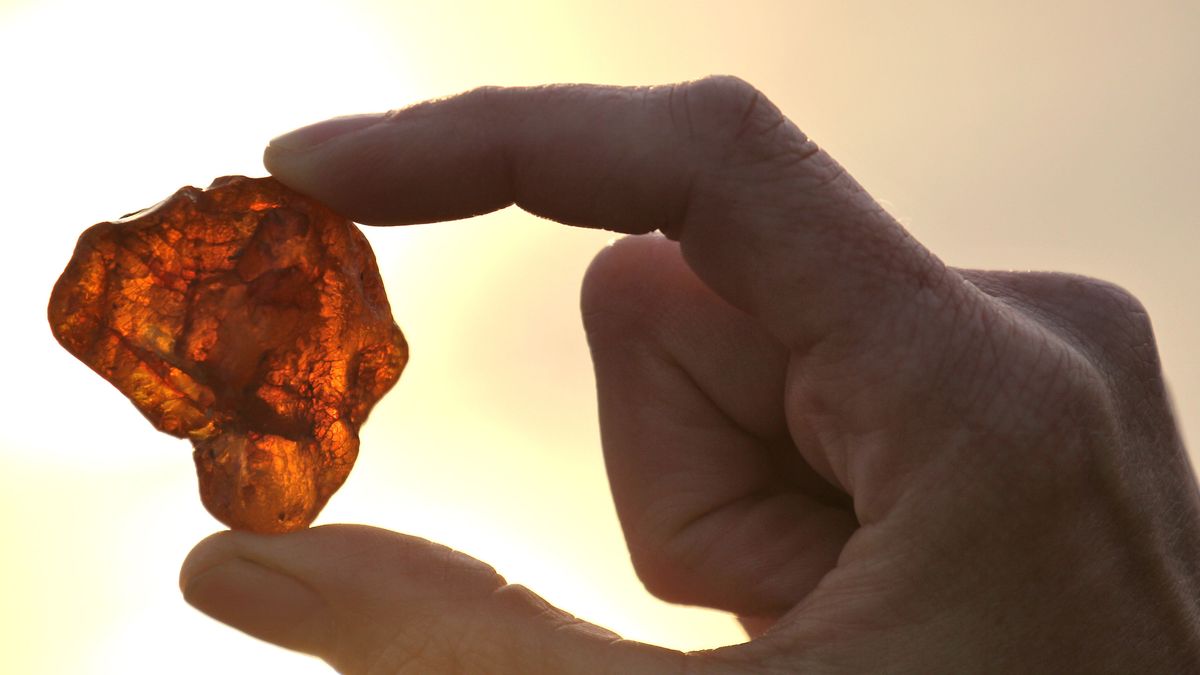 Zatrzymanym za przemyt bursztynu grozi do 10 lat więzienia.