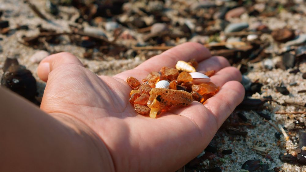 Ministerstwo Środowiska przygotowało projekt zmian w przepisach, by lepiej chronić bursztyn. 