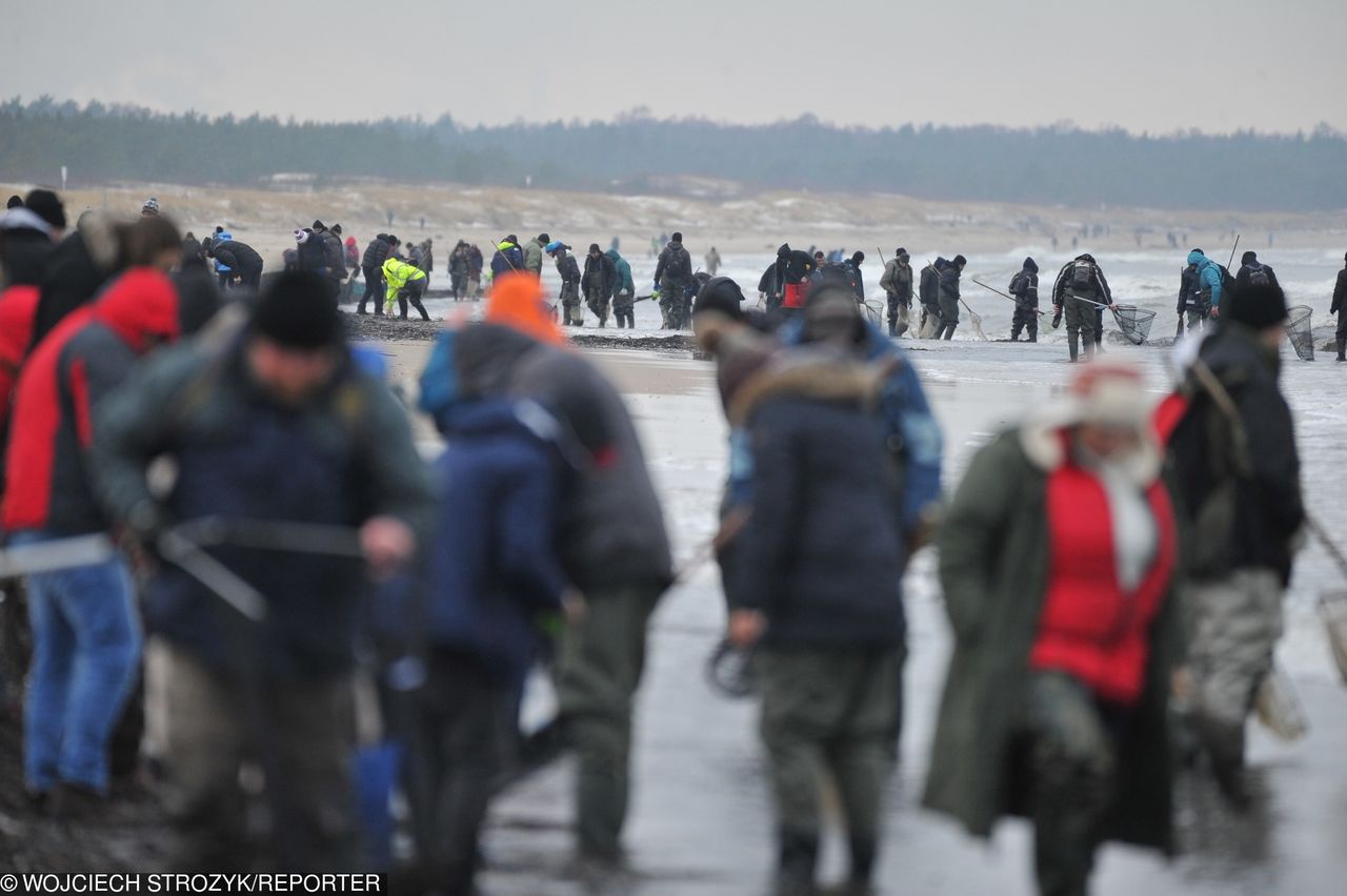 "Prawdziwy szał" po sztormie. Tłumy szukają "złota Bałtyku" na plażach