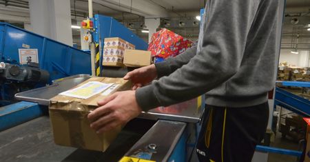 Ptaka pocztą nie wyślesz. Spółka zawiesza usługę