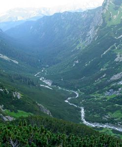 Ludzkie szczątki w Dolinie Roztoki. Znaleziono pozostałości obozowiska