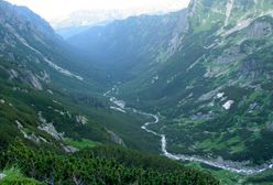 Ludzkie szczątki w Dolinie Roztoki. Znaleziono pozostałości obozowiska