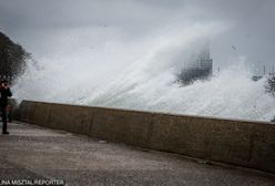 Silny wiatr na północy kraju łamie drzewa i zrywa trakcje elektryczne. Strażacy interweniowali już 900 razy